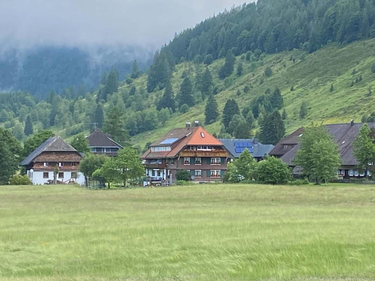 Gaestehaus Kaiser Menzenschwand-Hinterdorf Екстериор снимка