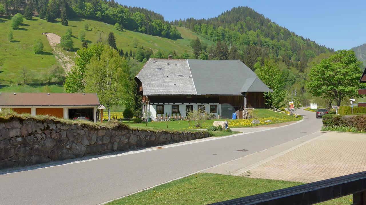 Gaestehaus Kaiser Menzenschwand-Hinterdorf Екстериор снимка